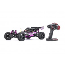 Baha 10B 2WD BRUSHLESS Buggy - PURPLE │ FREE SHIPPING Baha 10B 2WD BRUSHLESS Buggy - PURPLE │ FREE SHIPPING